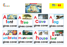 What gives cover (Print A3)